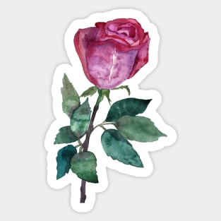 Red Rose Sticker